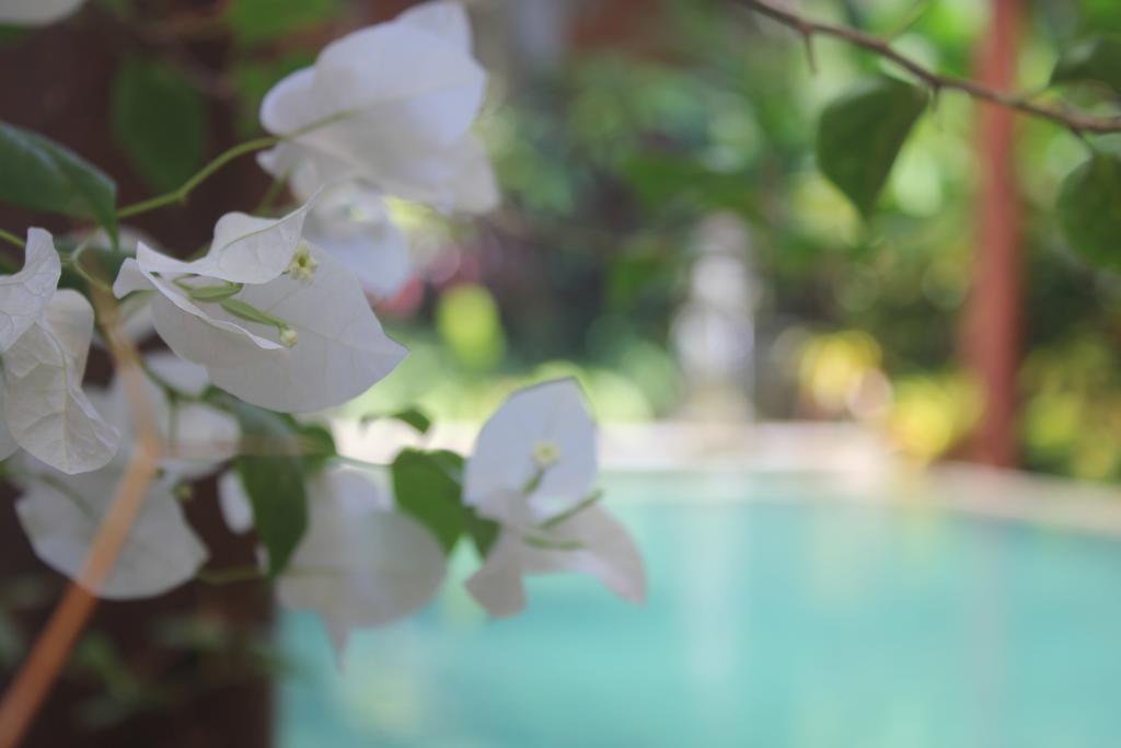 Ubud Hotel And Villas Malang Zewnętrze zdjęcie